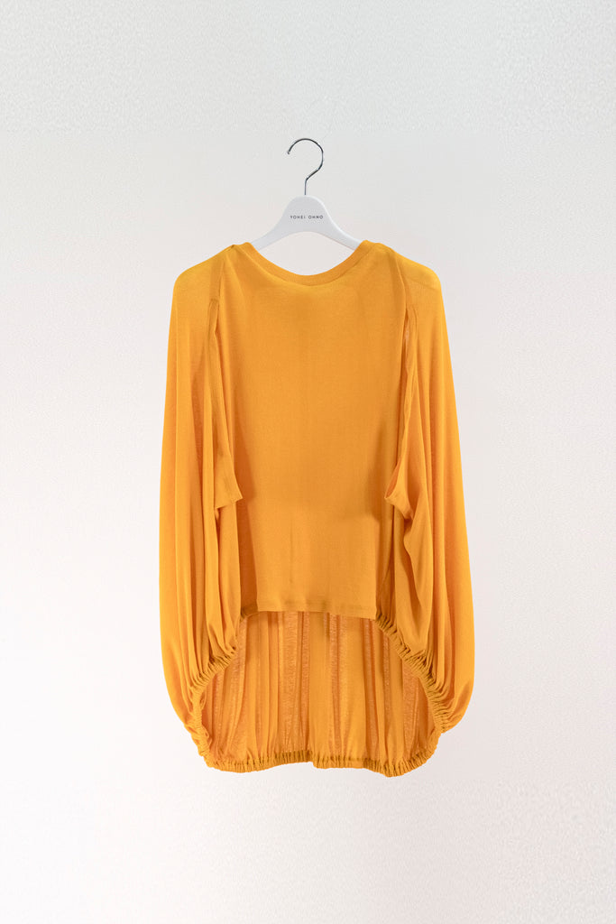 Balloon Sheer Top